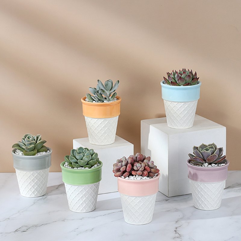 ice cream ceramic decorative plan/flower pot 冰激凌陶盆 ice cream ceramic decorative plan/flower pot 冰激凌陶盆