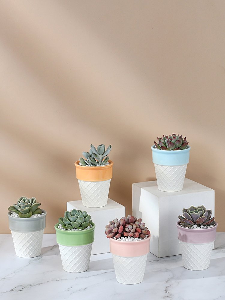 ice cream ceramic decorative plan/flower pot 冰激凌陶盆 ice cream ceramic decorative plan/flower pot 冰激凌陶盆