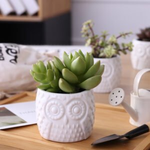 owl ceramic decorative plan/flower pot with round bamboo holder 猫头鹰陶盆