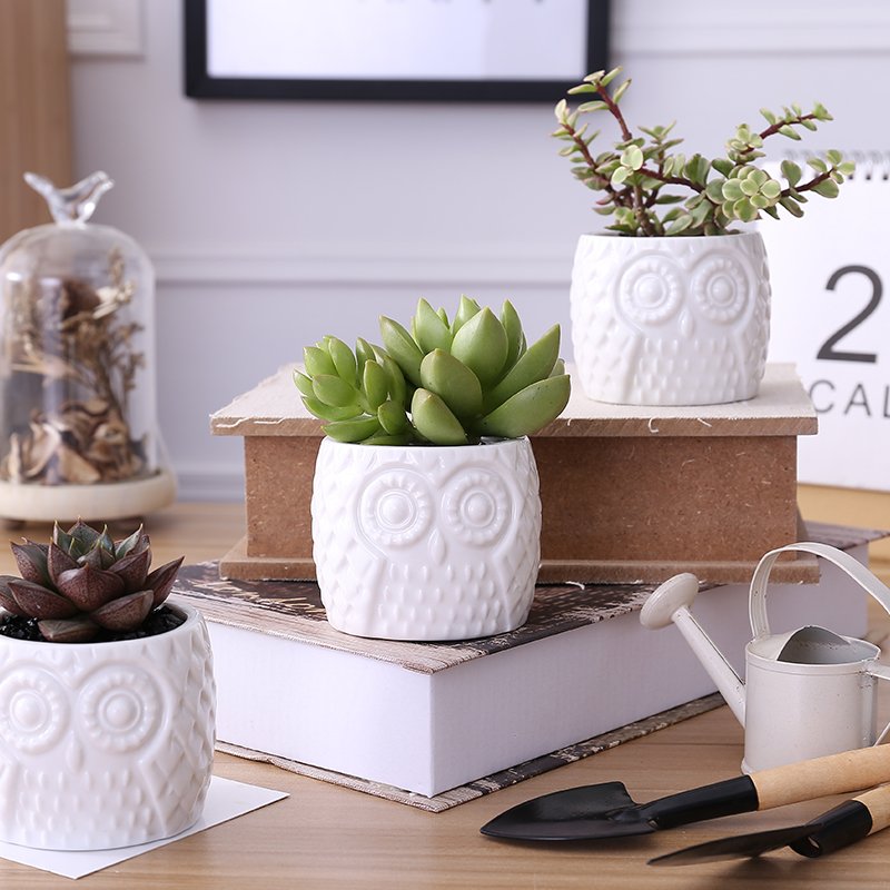 owl ceramic decorative plan/flower pot with round bamboo holder 猫头鹰陶盆 owl ceramic decorative plan/flower pot with round bamboo holder 猫头鹰陶盆
