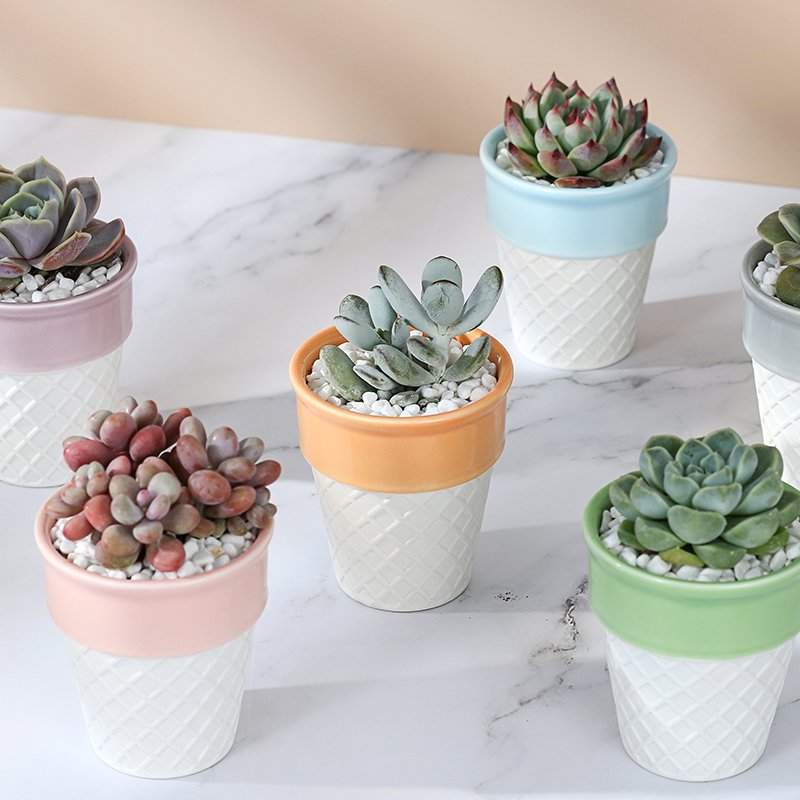 ice cream ceramic decorative plan/flower pot 冰激凌陶盆 ice cream ceramic decorative plan/flower pot 冰激凌陶盆