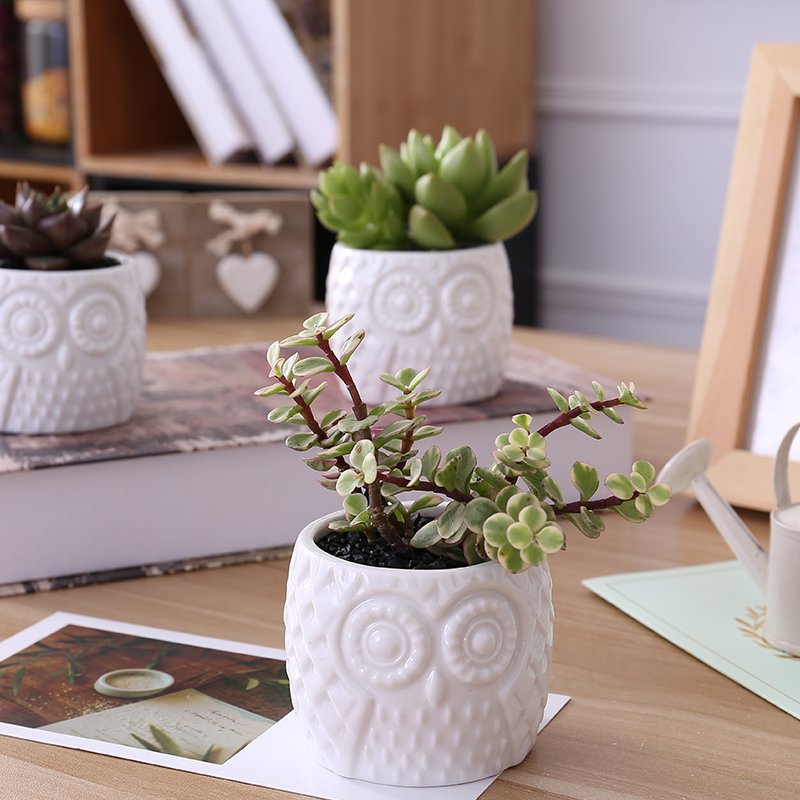 owl ceramic decorative plan/flower pot with round bamboo holder 猫头鹰陶盆 owl ceramic decorative plan/flower pot with round bamboo holder 猫头鹰陶盆