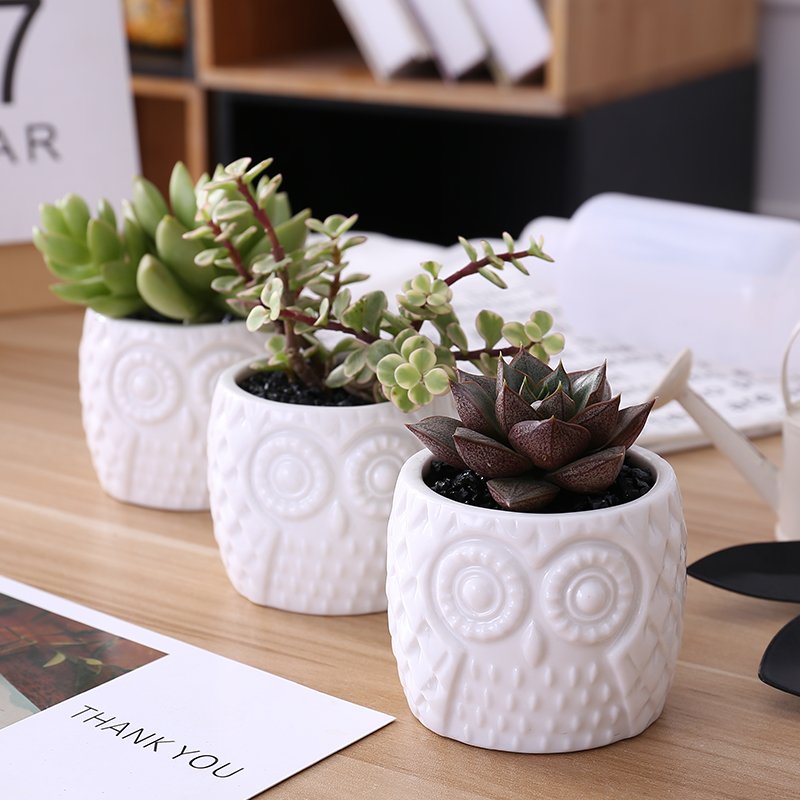 owl ceramic decorative plan/flower pot with round bamboo holder 猫头鹰陶盆 owl ceramic decorative plan/flower pot with round bamboo holder 猫头鹰陶盆