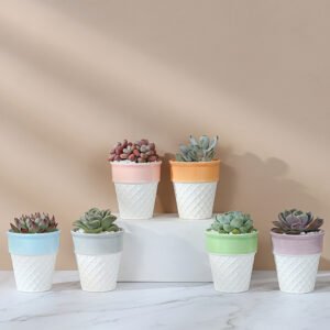 ice cream ceramic decorative plan/flower pot 冰激凌陶盆