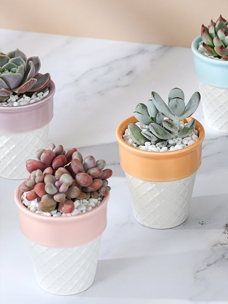 ice cream ceramic decorative plan/flower pot 冰激凌陶盆 ice cream ceramic decorative plan/flower pot 冰激凌陶盆